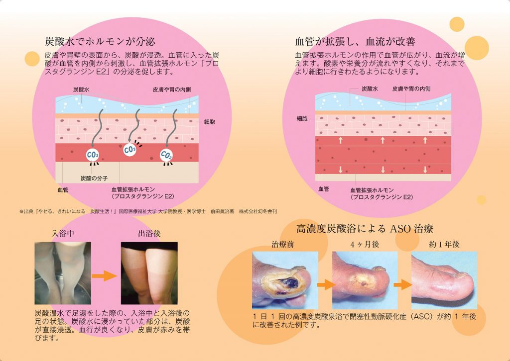 1300ppmの高濃度炭酸泉を導入 公式 ともいきの国 伊勢忍者キングダム 忍者 サムライの文化と和の美食を楽しむ街