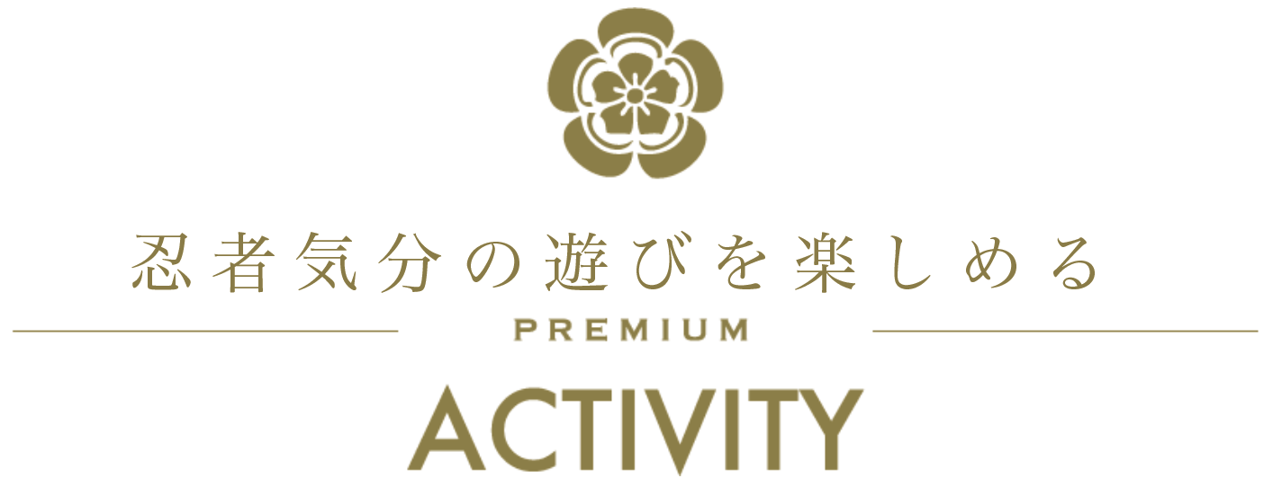 日本古来の遊びを楽しめる/PREMIUM/ACTIVITY